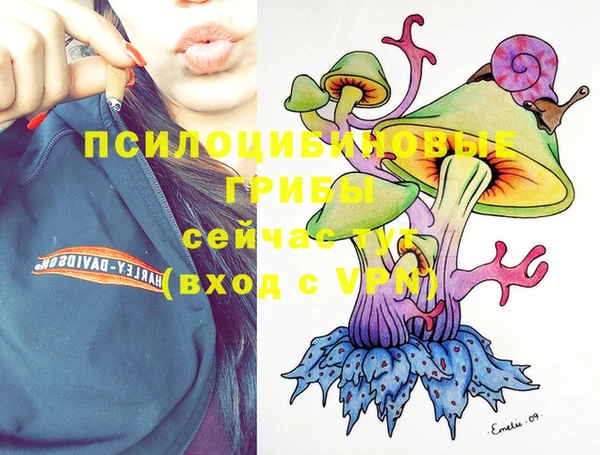 Альфа ПВП Козельск
