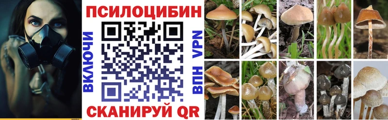 Купить где  Богородицк  Галлюциногенные грибы прущие грибы 